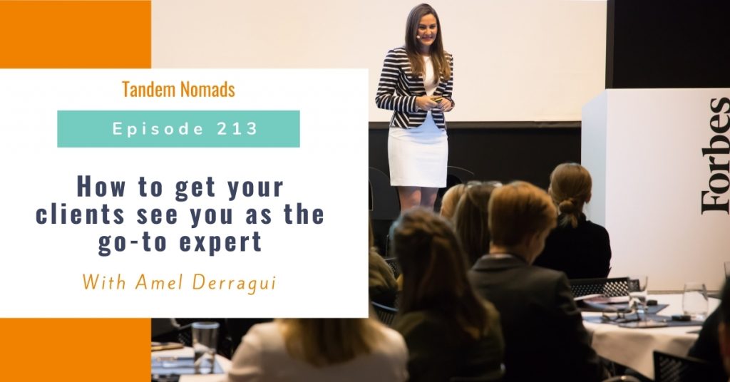 TN213 How to get your clients see you as the go to expert